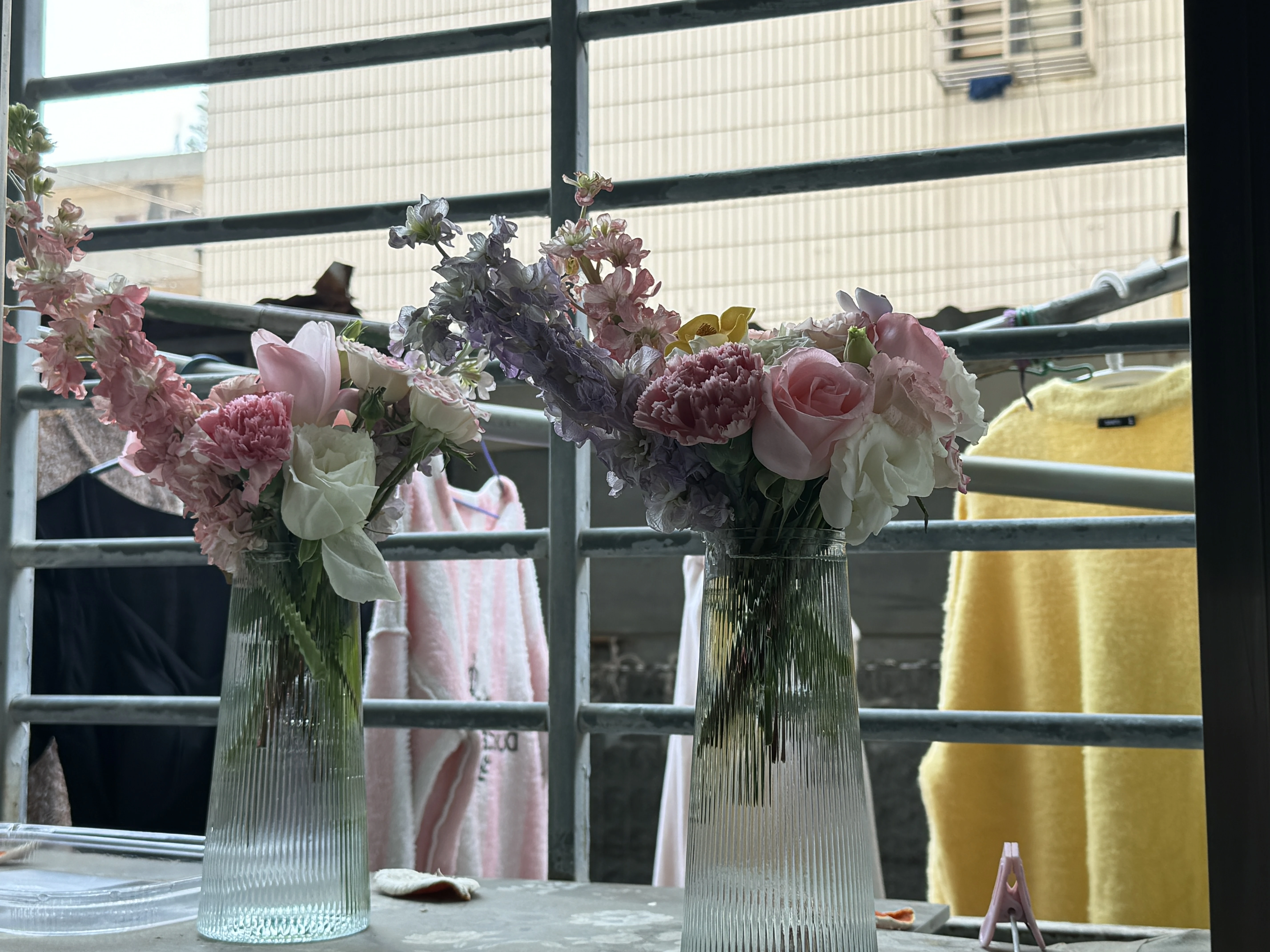 2026.2.15 IP:晋江 天晴